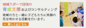 地域スポーツ団体の育成支援およびコンサルティング