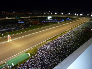 小椋久美子　大井競馬場イベント